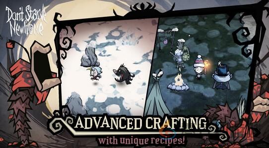 饥荒新家园偷企鹅蛋方法(图3) 饥荒新家园偷企鹅蛋方法(图3)