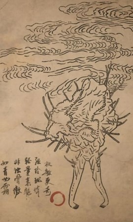 黑神话：悟空石双双的图鉴(图2)