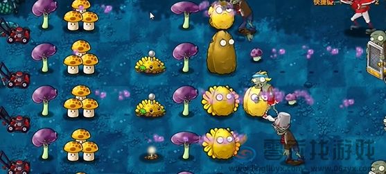 《植物大战僵尸融合版》冒险模式第10关通关攻略(图5) 《植物大战僵尸融合版》冒险模式第10关通关攻略(图5)
