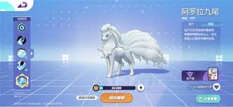 宝可梦大集结阿罗拉九尾怎么玩(图1) 宝可梦大集结阿罗拉九尾怎么玩(图1)