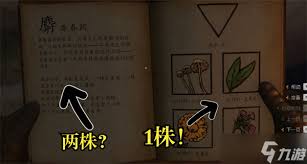 天国拯救2新手村草药分布在哪里(图2) 天国拯救2新手村草药分布在哪里(图2)