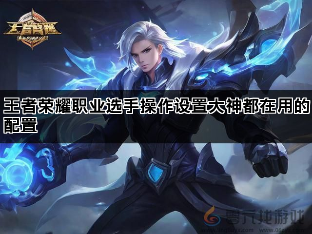 王者荣耀职业选手操作设置大神都在用的配置